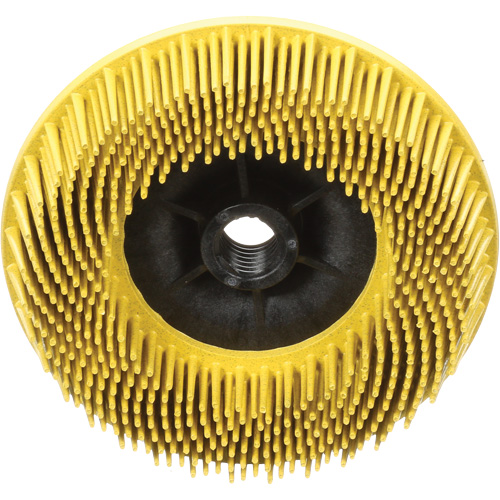 Disques radiaux bristle pour meuleuses angulaires Scotch-Brite, C&eacute;ramique, Grain 80, 4-1/2" dia. Les Fournitures Industrielles Méga