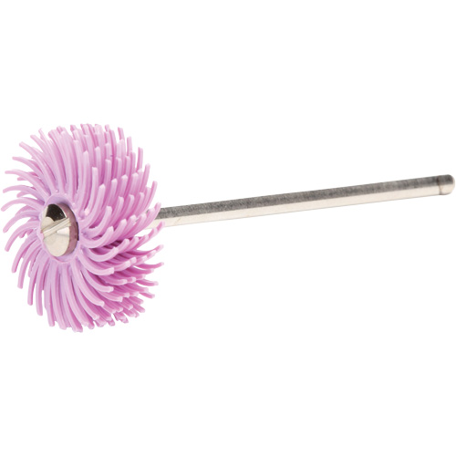 Scotch-Brite Radial Bristle Discs, Pumice Grit, 3/4" Dia. Les Fournitures Industrielles Méga