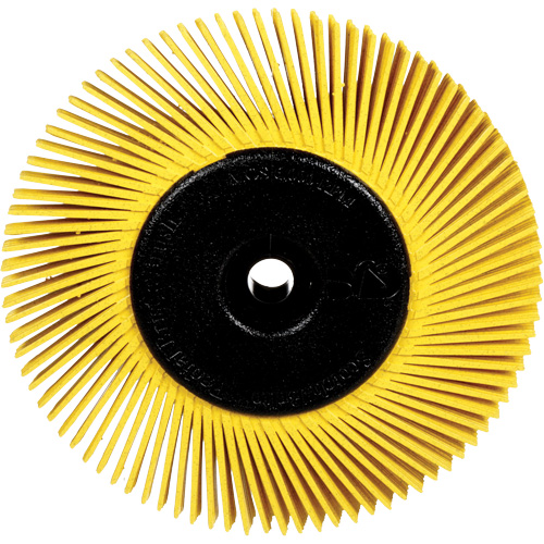 Brosses radiales bristle pour meuleuses d'&eacute;tabli, Grain 80X, 6" dia. Les Fournitures Industrielles Méga