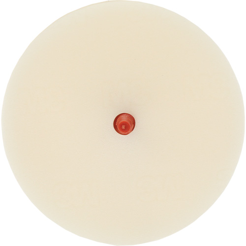 Scotch-Brite Moulding Adhesive & Stripe Removal Disc, 7501, 4" Dia. Les Fournitures Industrielles Méga
