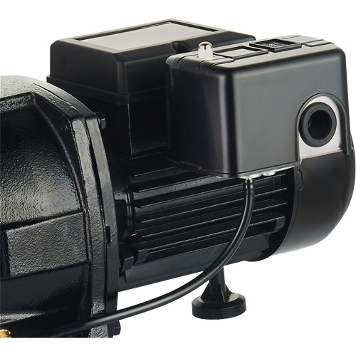 Dual Voltage Cast Iron Shallow Well Jet Pump, 115 V/230 V, 1100 GPH, 1 HP Les Fournitures Industrielles Méga
