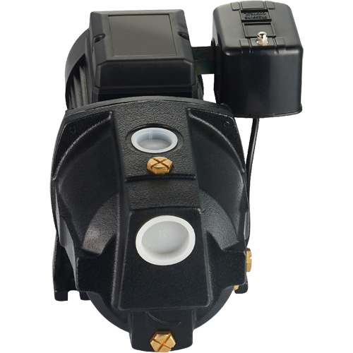 Dual Voltage Cast Iron Shallow Well Jet Pump, 115 V/230 V, 1100 GPH, 1 HP Les Fournitures Industrielles Méga