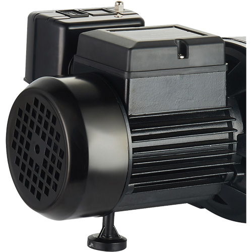 Dual Voltage Cast Iron Shallow Well Jet Pump, 115 V/230 V, 1100 GPH, 1 HP Les Fournitures Industrielles Méga