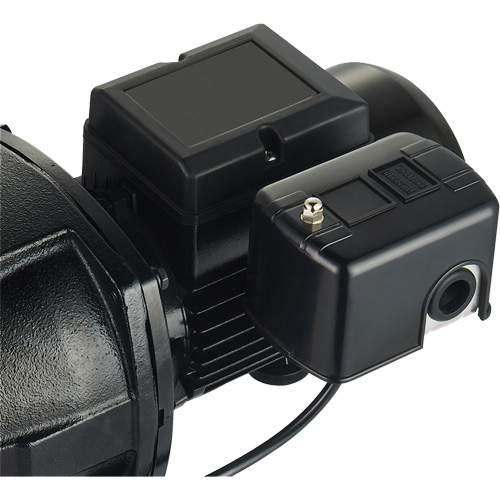 Dual Voltage Cast Iron Shallow Well Jet Pump, 115 V/230 V, 1100 GPH, 1 HP Les Fournitures Industrielles Méga