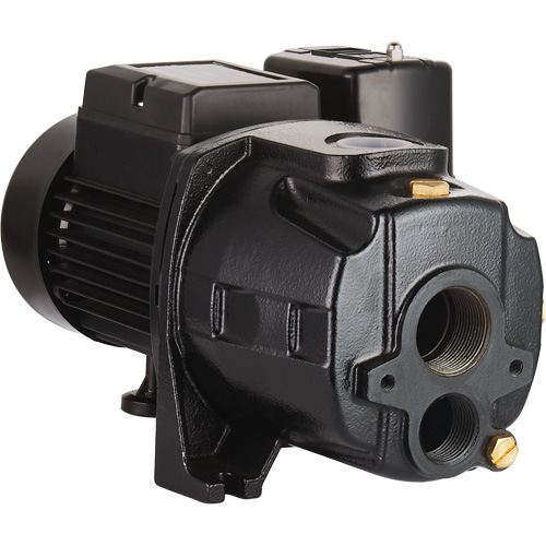 Pompe &agrave; jet en fonte &agrave; double tension transformable, 115 V/230 V, 1100 gal./h, 1/2 CV Les Fournitures Industrielles Méga