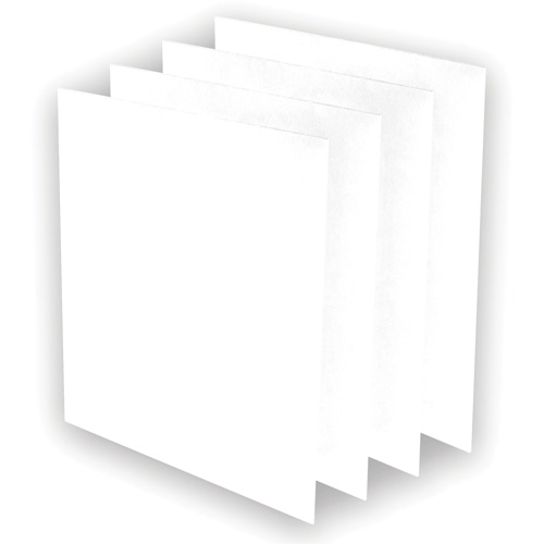 Pr&eacute;-filtres AeraMax Pro AM3 ou AM4, 13,75" la x 0,13" p x 14,38" h Les Fournitures Industrielles Méga