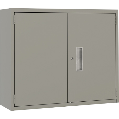 Wall Mounted Cabinet, Steel, 2 Shelves, 30" H x 36" W x 12" D, Grey Les Fournitures Industrielles Méga
