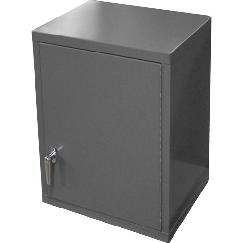 Armoire murale, 27" h x 13-11/16" la x 18" p, 2 tablettes, Acier, Gris Les Fournitures Industrielles Méga