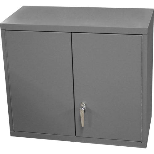 Armoire murale, 27" h x 13-11/16" la x 35-7/8" p, 2 tablettes, Acier, Gris Les Fournitures Industrielles Méga