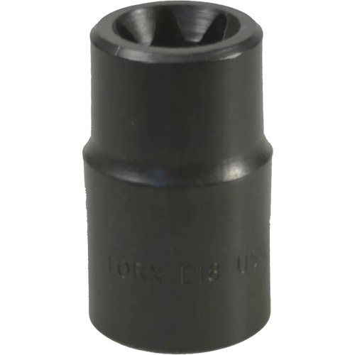 E-18 Torx&reg; Socket Les Fournitures Industrielles Méga