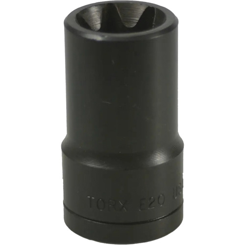 E-20 Torx&reg; Socket Les Fournitures Industrielles Méga