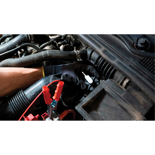 Tall Frame Brake-Pro Pressure Brake Bleeder with Adapters Les Fournitures Industrielles Méga