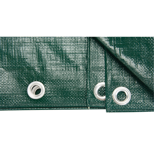 B&acirc;che, Robuste, Vert, 8' x 6' x 9 mils Les Fournitures Industrielles Méga
