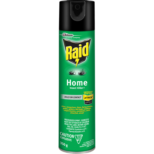 Raid&reg; Home Insect Killer, 350 g, Solvent Base Les Fournitures Industrielles Méga