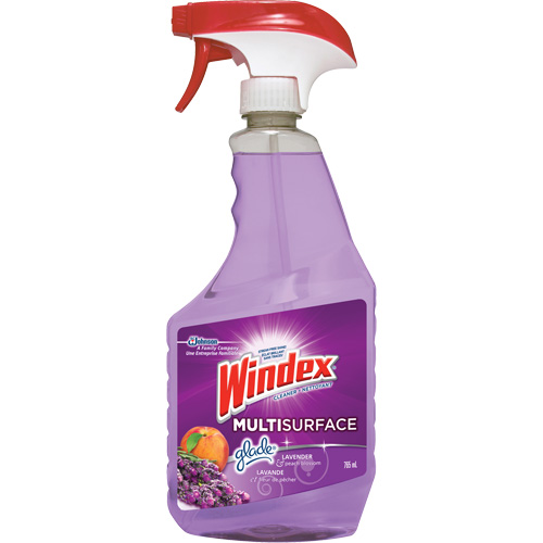 Windex&reg; Multi-Surface Cleaner, 765 ml, Trigger Bottle Les Fournitures Industrielles Méga
