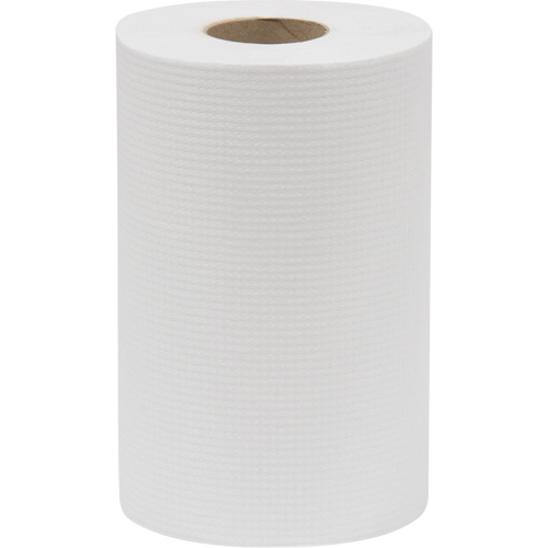 Rouleau d'essuie-tout Everest Pro, 1 pli, Standard, 300' lo Les Fournitures Industrielles Méga