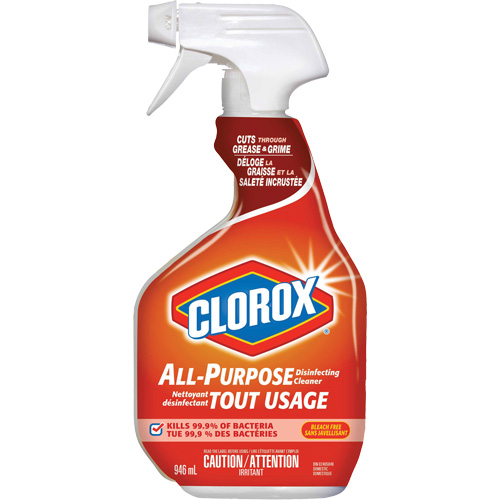 All-Purpose Disinfecting Cleaner Spray, 946 ml, Trigger Bottle Les Fournitures Industrielles Méga
