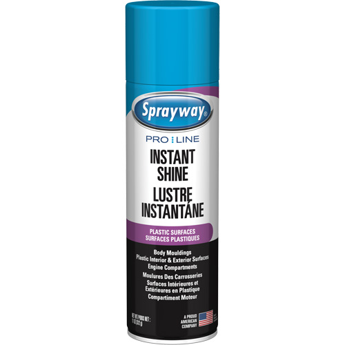 Brillant instantan&eacute; Pro Line pour surfaces en plastique, 11 oz, Canette a&eacute;rosol Les Fournitures Industrielles Méga