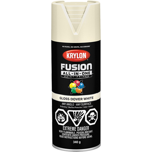 Fusion All-In-One Spray Paint, Dover White, Gloss, 12 oz., Aerosol Can Les Fournitures Industrielles Méga