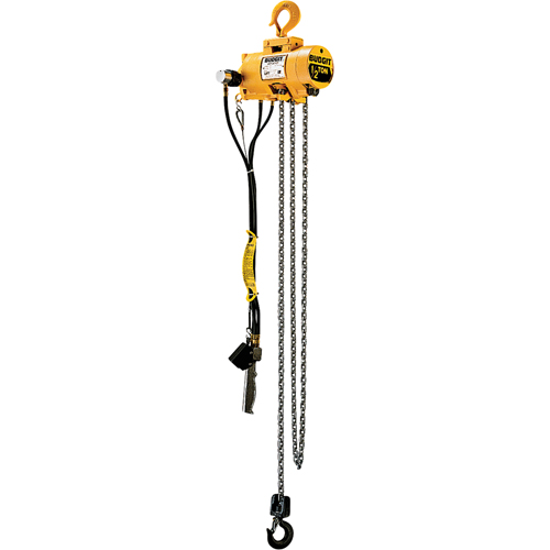 Budgit&reg; Air Chain Hoists Les Fournitures Industrielles Méga