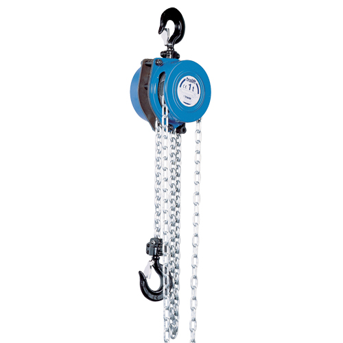 Tralift&reg; Chain Hoist, 10' Lift, 3000 lbs. (1.5 tons) Capacity, Grade 80 Chain Les Fournitures Industrielles Méga