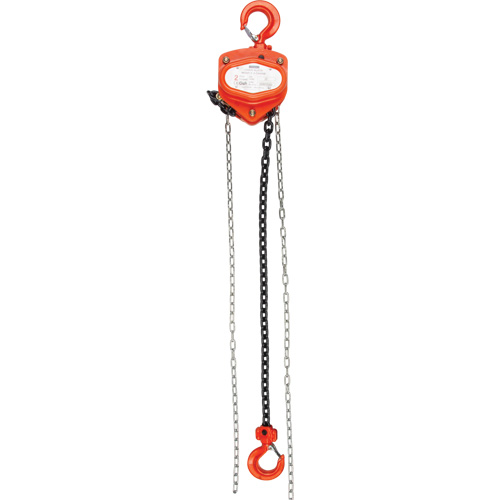 Palan &agrave; chaîne, Lev&eacute;e 20', Capacit&eacute; 2000 lb (1 tonne), Chaîne Acier alli&eacute; Les Fournitures Industrielles Méga