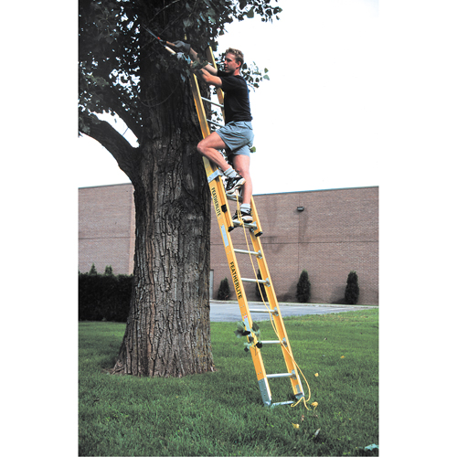 Industrial Heavy-Duty Extension Ladders (6200 Series), 375 lbs. Cap., 13' H, Grade 1AA Les Fournitures Industrielles Méga