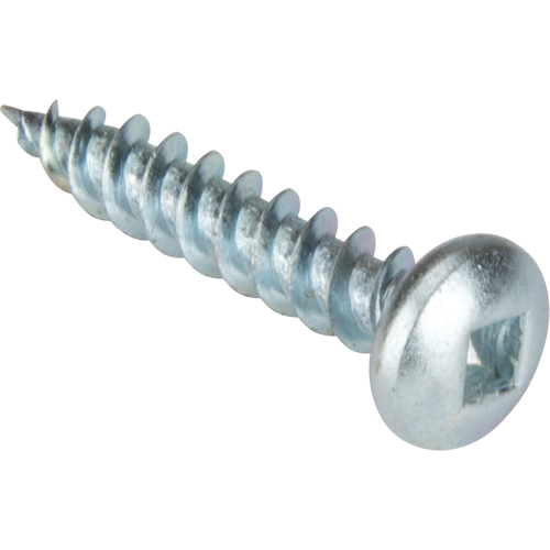 Vis taraudeuse &agrave; t&ecirc;te cylindrique, #10 x 1-1/4" lo, Zingu&eacute; Les Fournitures Industrielles Méga