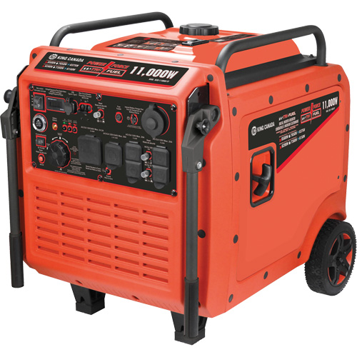 Tri-Fuel Inverter Generator Les Fournitures Industrielles Méga