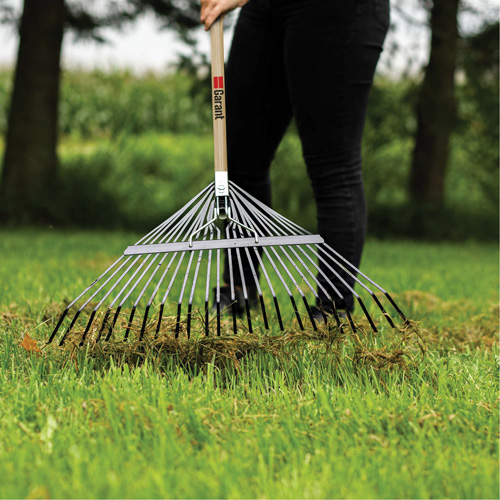 Lawn Rake, 24 Tines, Hardwood Handle, Steel Blade Les Fournitures Industrielles Méga