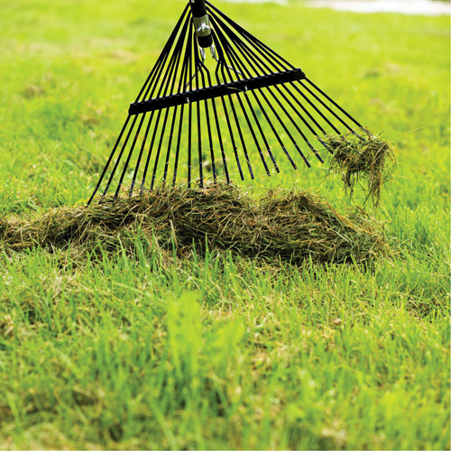 Lawn Rake, 24 Tines, Hardwood Handle, Steel Blade Les Fournitures Industrielles Méga