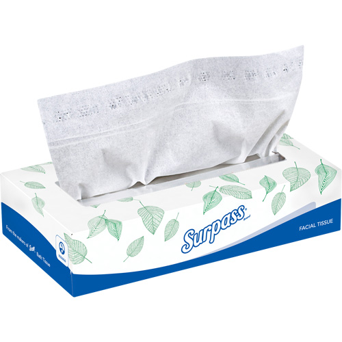 Mouchoirs Surpass, 2 pli, 8,3" lo x 7,8" la, 100 feuilles/boîte Les Fournitures Industrielles Méga