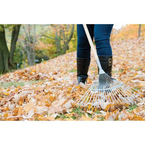 Pro Fan Rake, 24" Blade, 22 Tines, Hardwood Handle, Steel Blade Les Fournitures Industrielles Méga
