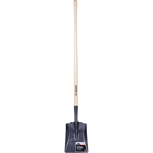 Pro Square Point Shovel, Wood, Tempered Steel Blade, Straight Handle, 48" Long Les Fournitures Industrielles Méga
