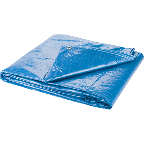 B&acirc;che, Standard, Bleu, 7' x 5' x 4 mils Les Fournitures Industrielles Méga