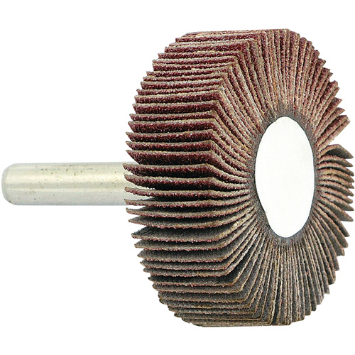 Disque &agrave; lamelles mont&eacute; sur mandrin, Grain 80, 1-1/2" x 1/2" x 1/4" Les Fournitures Industrielles Méga