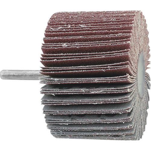 Mounted Flapwheel, 60 Grit, 3" x 1" x 1/4" Les Fournitures Industrielles Méga