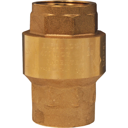 Spring-Loaded Check Valve Les Fournitures Industrielles Méga