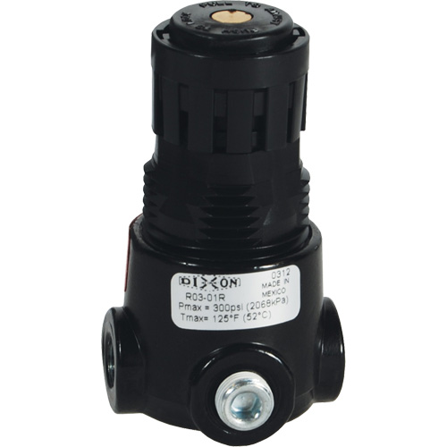 R&eacute;gulateur miniature R03 Wilkerson, 1/4" NPT, PSI max. de 300 psi, Standard Les Fournitures Industrielles Méga