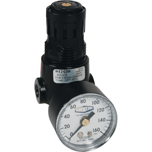 R&eacute;gulateur miniature R04 Wilkerson, 1/4" NPT, PSI max. de 300 psi, Standard Les Fournitures Industrielles Méga