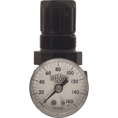 R&eacute;gulateur miniature de s&eacute;rie 1, 1/8" NPT, PSI max. de 100 psi, Standard Les Fournitures Industrielles Méga