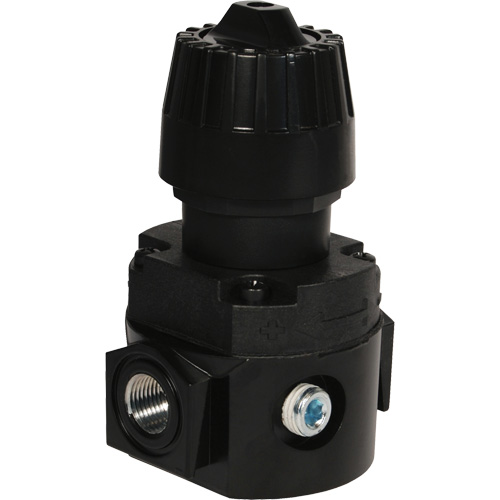 R&eacute;gulateur compact R16 Wilkerson, 1/4" NPT, PSI max. de 300 psi, Standard Les Fournitures Industrielles Méga
