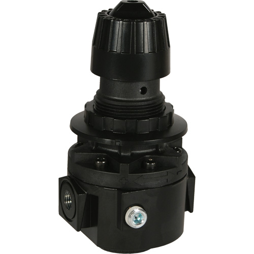 Wilkerson Regulator R26, 3/8" NPT, 300 psi Max. PSI, Standard Les Fournitures Industrielles Méga