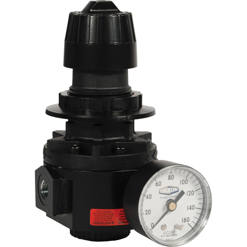 R&eacute;gulateur Wilkerson R26, 1/2" NPT, PSI max. de 300 psi, Standard Les Fournitures Industrielles Méga