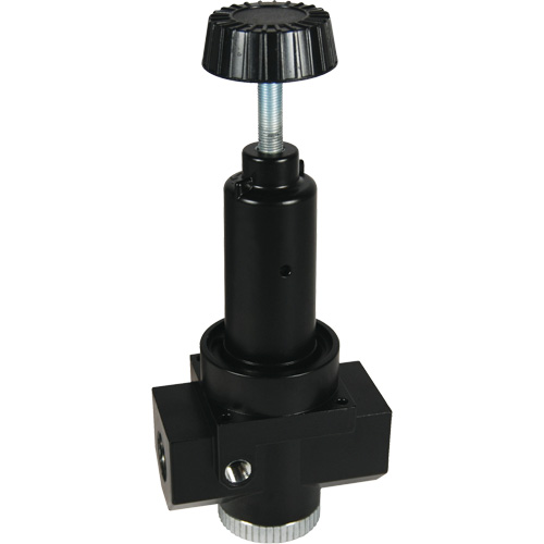 R&eacute;gulateur &agrave; d&eacute;bit &eacute;lev&eacute; R30 Wilkerson, 3/4" NPT, PSI max. de 300 psi, Standard Les Fournitures Industrielles Méga