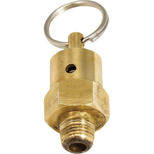 Viton&reg; Pressure Relief Valve Les Fournitures Industrielles Méga
