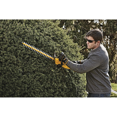 Taille-haie MAX*, 22", 20 V, &agrave; pile Les Fournitures Industrielles Méga