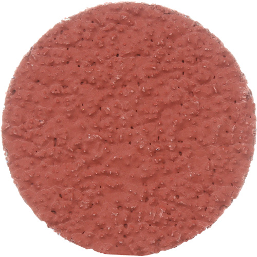 Cubitron II Roloc Durable Edge Disc, 2" Dia., 36+ Grit, Ceramic Les Fournitures Industrielles Méga