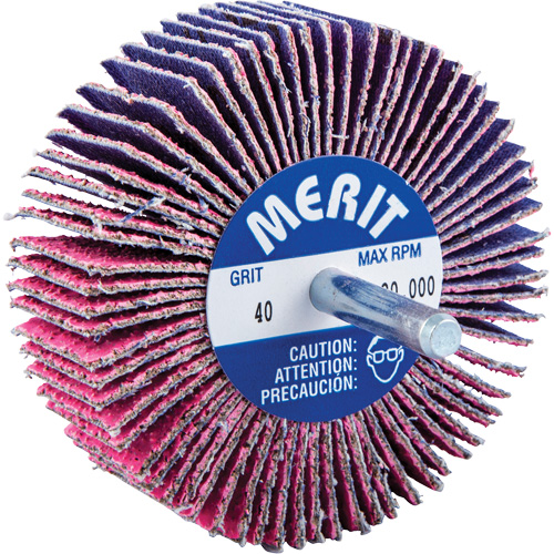 Shank Mounted Mini Flap Wheel, Ceramic Alumina, 40 Grit, 3" x 1" x 1/4" Les Fournitures Industrielles Méga