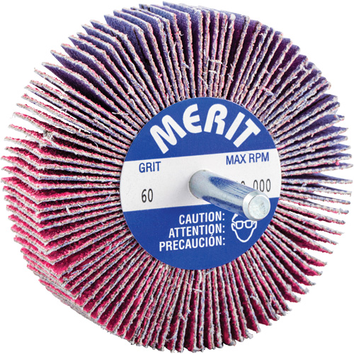 Shank Mounted Mini Flap Wheel, Ceramic Alumina, 60 Grit, 3" x 1" x 1/4" Les Fournitures Industrielles Méga